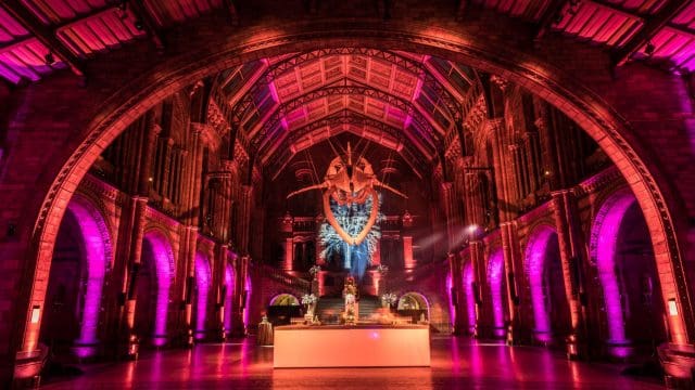 Credit: Bespoke Events - Natural History Museum